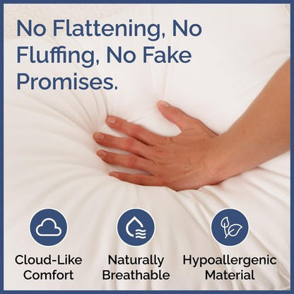 CGK Unlimited Queen Size 4-Piece Sheet Set - Soft Cotton Bed Pillows Included | Comfortable Bedding