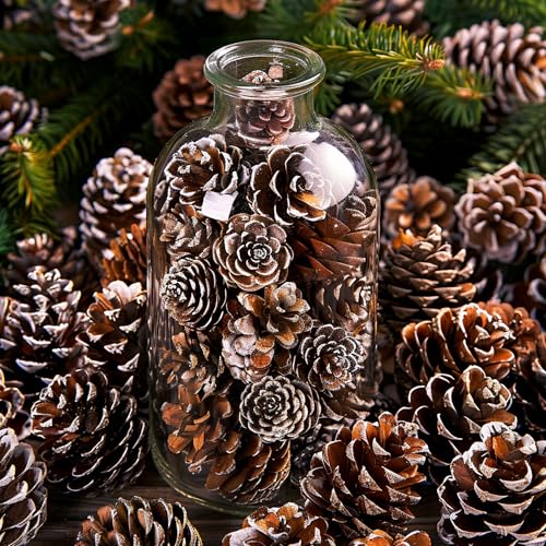 Snow 700 Pcs Christmas Natural Mini Pine Cones - Small Xmas Snow Pinecones Decor