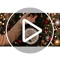 Dog Christmas Ornament - Wooden Boston Terrier Holiday Decor for Tree