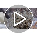 100 Pcs Dried Daisy Flowers Bouquet for Wedding Decor White - Natural & Lush