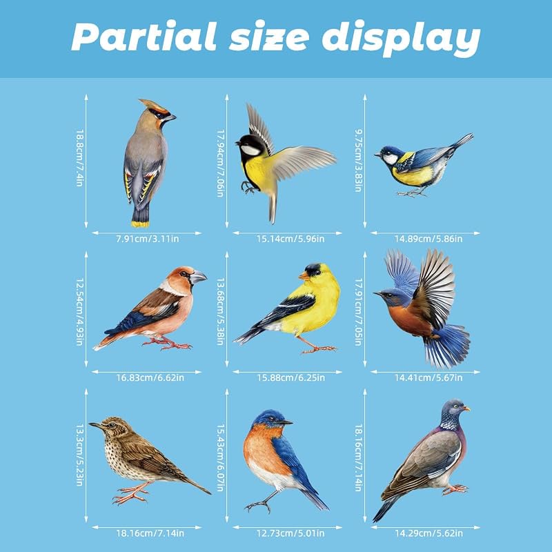 Colorful Bird Window Clings 26 Pcs on 9 Sheets – Reusable Static, No Glue