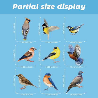 Colorful Bird Window Clings 26 Pcs on 9 Sheets – Reusable Static, No Glue