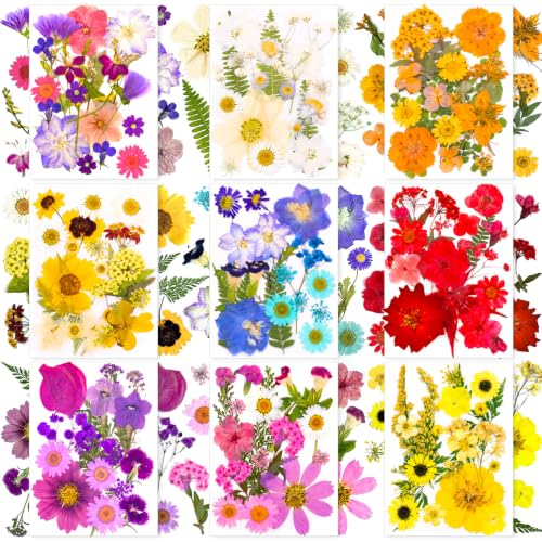 176Pcs Dried Flowers and Leaves for Resin Crafts - Pressed Natural Botanicals