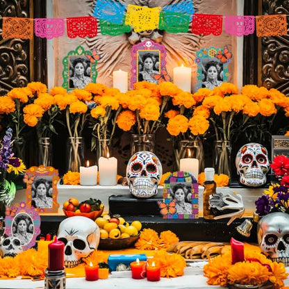 36pcs Dia De Los Muertos Irregular Shape Picture Frame Kit with Butterfly & Papel Picado