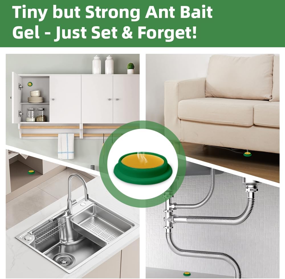 Skiennix Ant Killer Gel Bait Stations - 36 PCS Extra Strength Traps for Carpenter Ants | Safe & Easy to Use