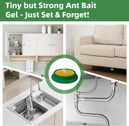 Skiennix Ant Killer Gel Bait Stations - 36 PCS Extra Strength Traps for Carpenter Ants | Safe & Easy to Use