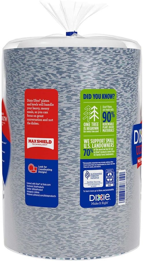 Dixie Ultra Disposable Paper Plates - 8.5 Inch Lunch & Light Dinner Size - 240 Count Pack