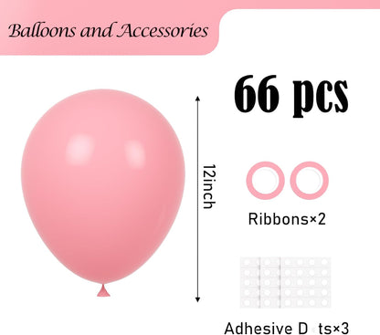 Voircoloria Retro Pink Balloons - 66 Pack 12-Inch Blush Pink Latex Balloons for Parties & Celebrations