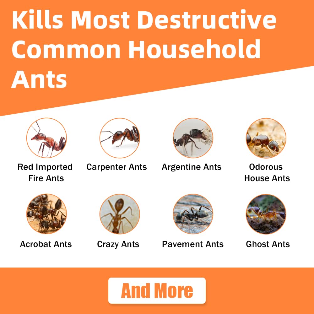 Skiennix Ant Killer Gel Bait Stations - 32 PCS Extra Strength Traps for Carpenter Ants | Safe for Pets & Kids