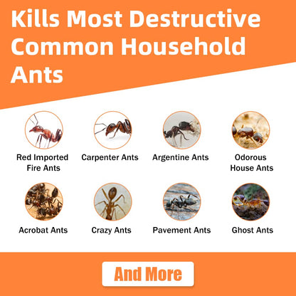 Skiennix Ant Killer Gel Bait Stations - 32 PCS Extra Strength Traps for Carpenter Ants | Safe for Pets & Kids
