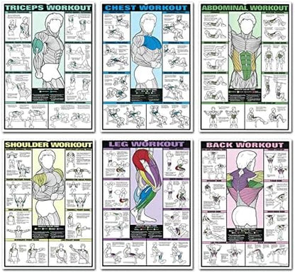 Skiennix 6PCS Workout Chart Posters - Motivational Gym Decor for Home | Fitness Exercise Charts for Triceps, Shoulders, Legs, Back, Chest, Abs