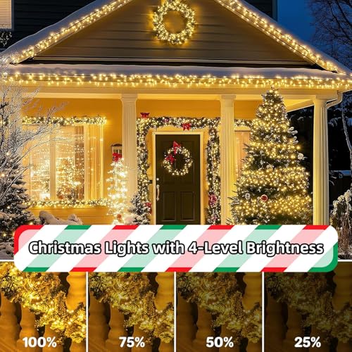 Warm White 1600 LEDs Christmas String Lights with Remote 105ft Waterproof Modes