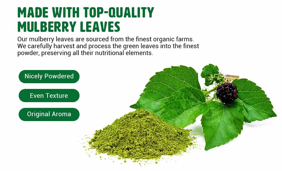 Mulberry Leaf Powder - Mulberry Leaf Extract - All-Natural Raw Herb Super Food Supplement - 1 Pound(16 Ounces)