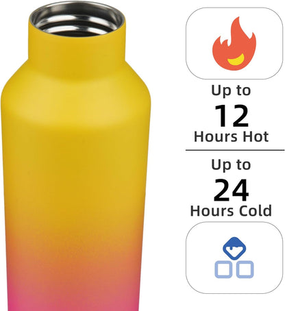 Skiennix Insulated Water Bottle - 17 OZ Double Wall Vacuum Stainless Steel Flask with Straw | Rainbow Finish