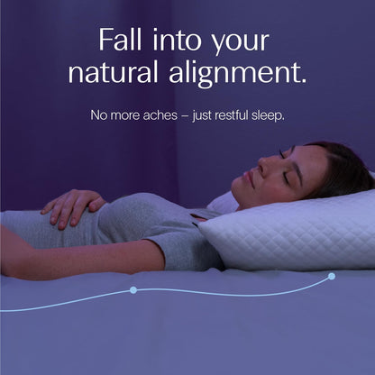 DreamyBlue Signature Pillow - Adjustable Loft Shredded Memory Foam for All Sleep Positions | Washable Bamboo Rayon Cover | CertiPUR-US Certified (Queen)