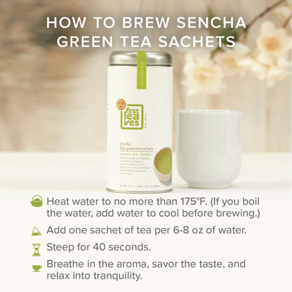 Sencha Green Tea Bag Sachets (25 Packets), Organic Japanese Green Tea Bags (25 Bags), Authentic Japanese Sencha Tea by First Leaves, 100 Grams