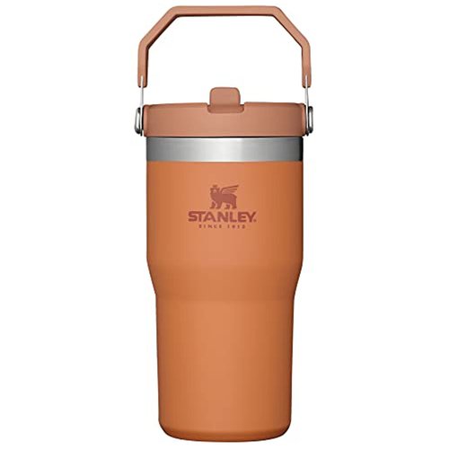 Stanley IceFlow Stainless Steel Tumbler - Vacuum Insulated Water Bottle for Home, Office or Car Reusable Cup with Straw Leak Resistant Flip Cold for 12 Hours or Iced for 2 Days, Ochre, 20 OZ / 0.59 L