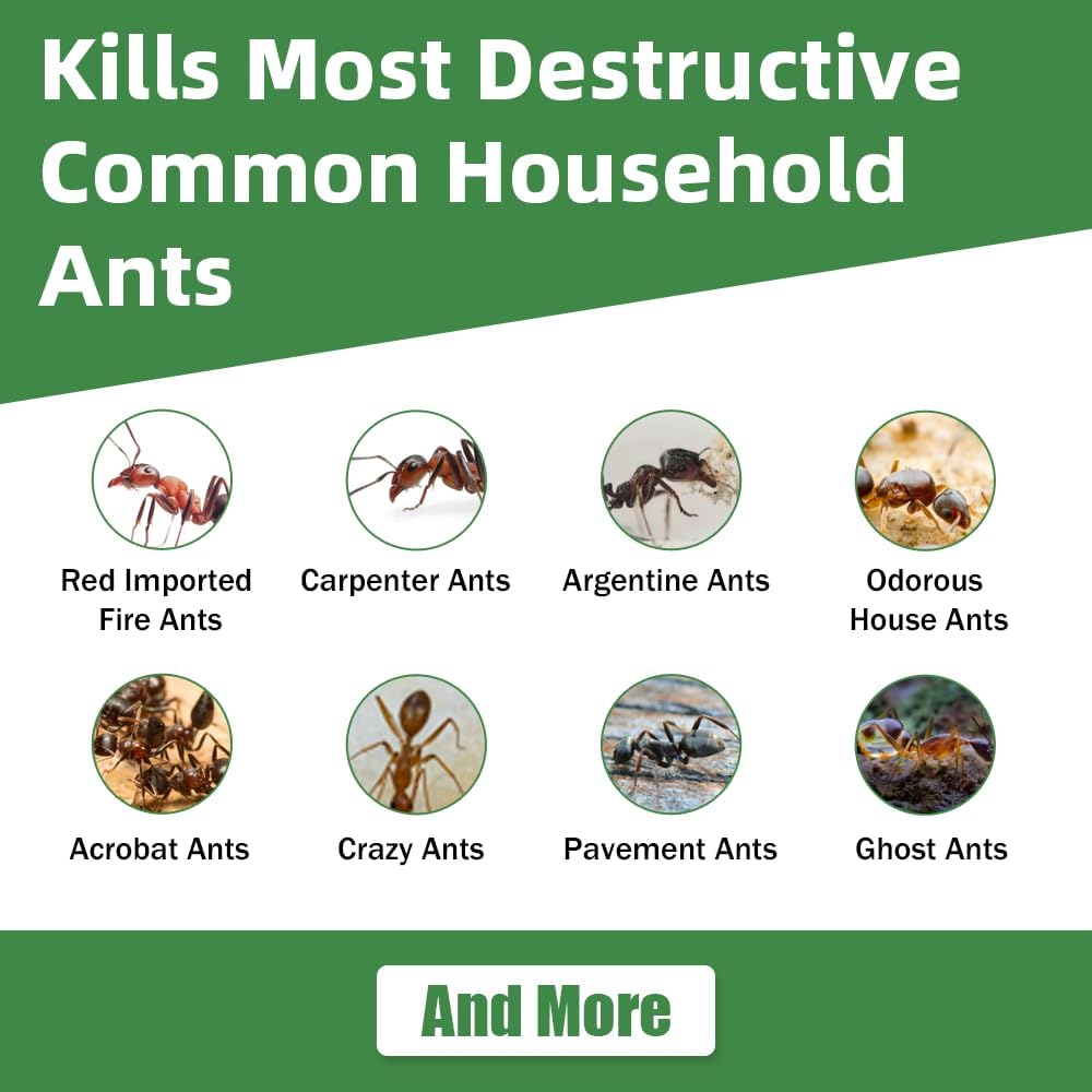 Skiennix Ant Killer Gel Bait Stations - 36 PCS Extra Strength Traps for Carpenter Ants | Safe & Easy to Use