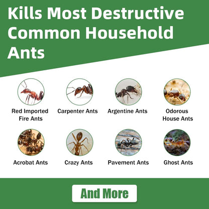 Skiennix Ant Killer Gel Bait Stations - 36 PCS Extra Strength Traps for Carpenter Ants | Safe & Easy to Use