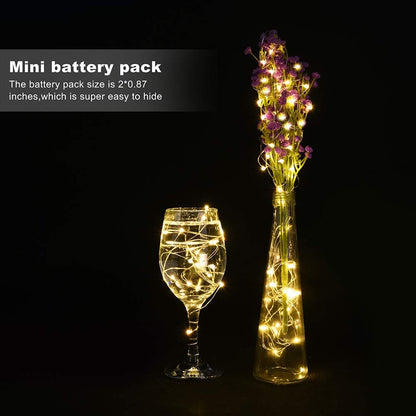 Skiennix 24 Pack Mini Fairy Lights - Battery Operated 20 LED Warm White String Lights, 6.6ft for Weddings & Crafts