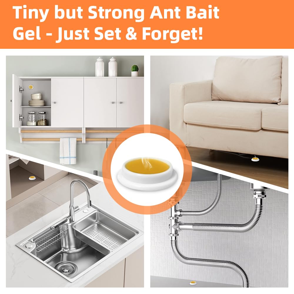 Skiennix Ant Killer Gel Bait Stations - 32 PCS Extra Strength Traps for Carpenter Ants | Safe for Pets & Kids