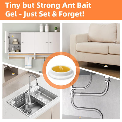Skiennix Ant Killer Gel Bait Stations - 32 PCS Extra Strength Traps for Carpenter Ants | Safe for Pets & Kids