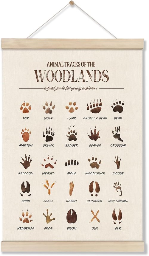 Doi-Lanee Woodland Tracks Poster Hanger Frame - Jungle Nursery Decor & Forest Wall Art