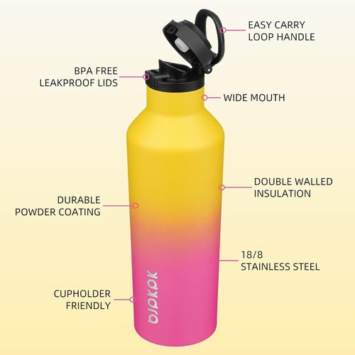 BJPKPK Insulated Water Bottle - 25oz Stainless Steel Flask With Straw & Carry Handle | Rainbow