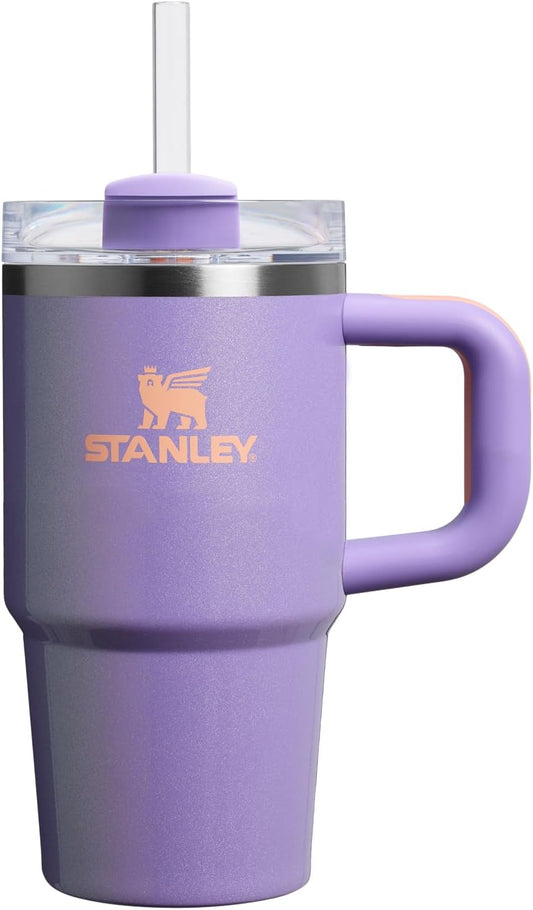 STANLEY Quencher H2.0 Tumbler - 20 oz Insulated Stainless Steel Cup with Handle & Straw | BPA-Free | Periwinkle Shimmer