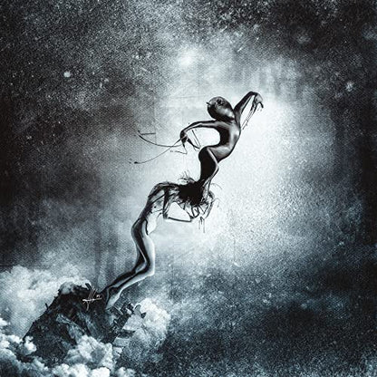 Cortesi Home 'Host' by Mario Sanchez Nevado, Canvas Wall Art, 18" x 18"