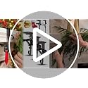 Black 3-Pack Adjustable Garland & Stocking Hangers for Fireplace Mantle