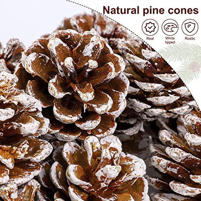 White Christmas Pine Cones Decor Set - 30 Pieces Rustic Holiday Ornaments