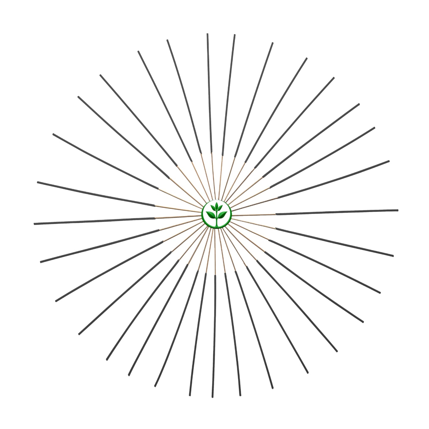 Lick Me All Over Exotic Incense Sticks 11 Inch - Bulk 1 Bundle 45 to 50 Sticks - Natural 11" Long Lasting Aroma That Burns for 45 to 60 Minutes.