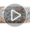 Christmas Tablecloth Rectangle 52x70 Inch Winter Holiday Home Decor