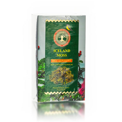 Iceland Moss, Wild Harvested, 2.65 OZ (75 Grams) – Herbal Tea (Cetraria islandica)