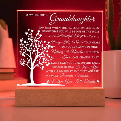 To My Beautiful Granddaughter, You Are My Most Precious Treasure, Acrylic Plaque with Decorative Light, Heartwarming Gift for Granddaughter, Gift from Grandma or Grandpa, Birthday Christmas Gift Idea
