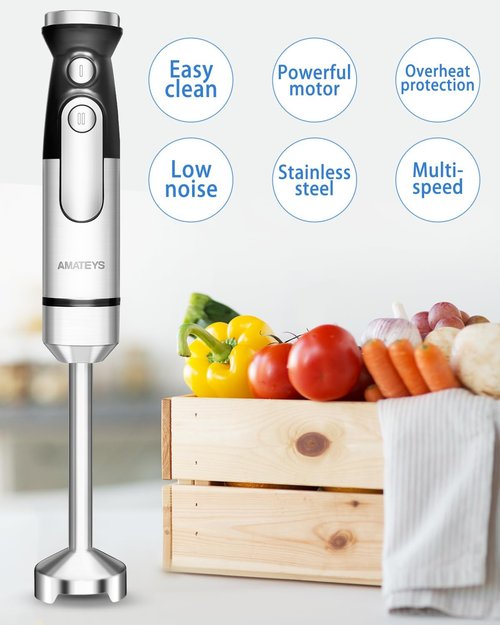 Handblender - Heavy-Duty Immersion Blender with Detachable Stainless Blade | 2-Speed Modes & Space-Saving Design