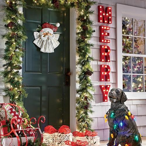 100FT 300 LED Color Changing Christmas Lights with Remote - Waterproof Indoor Outdoor String Lights - 2 in 1 Warm White & Multi-Color, 11 Modes