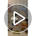 Cute Pingu Desk Humidifier with Night Light - Portable Water Misting Device
