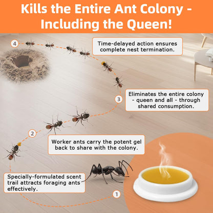 Skiennix Ant Killer Gel Bait Stations - 32 PCS Extra Strength Traps for Carpenter Ants | Safe for Pets & Kids