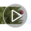 6.5' Fraser Fir Pencil Artificial Christmas Tree with Stand - Green
