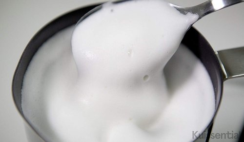 Kuissential Deluxe Automatic Milk Frother and Warmer, (240ml) Cappuccino Maker