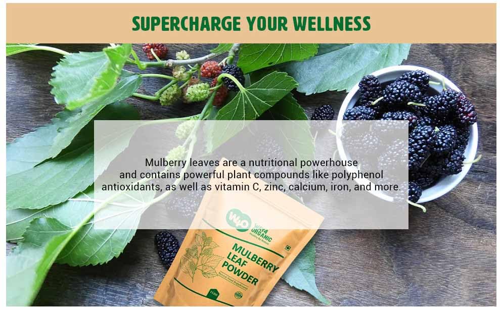 Mulberry Leaf Powder - Mulberry Leaf Extract - All-Natural Raw Herb Super Food Supplement - 1 Pound(16 Ounces)