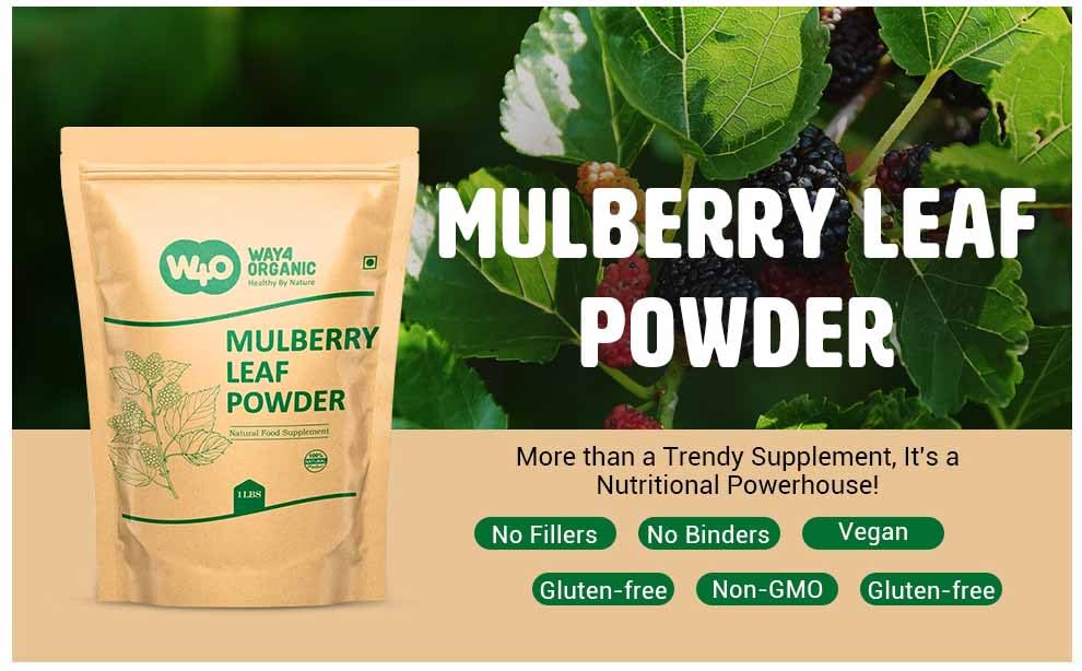 Mulberry Leaf Powder - Mulberry Leaf Extract - All-Natural Raw Herb Super Food Supplement - 1 Pound(16 Ounces)