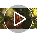 9Ft Pre-lit Christmas Garland with LED Lights Battery Operated Decorative Wreath for Indoor Outdoor Holiday Decor