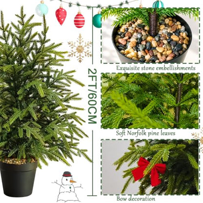 Gradient 2FT Pre-Lit Norfolk Pine Christmas Tree with Lights & Timer