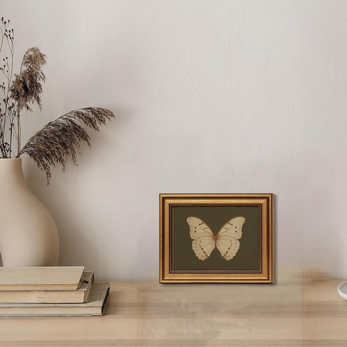 Gold Framed Vintage Butterfly Canvas Wall Art - Moody Insect Artwork for Living Room & Office | 8x10