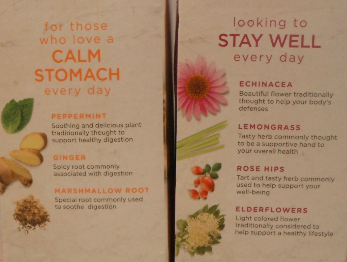 Bigelow Calm Stomach & Stay Well Herbal Tea Bundle - 2 Boxes, Caffeine Free, Herbal, Immune Support, Digestion