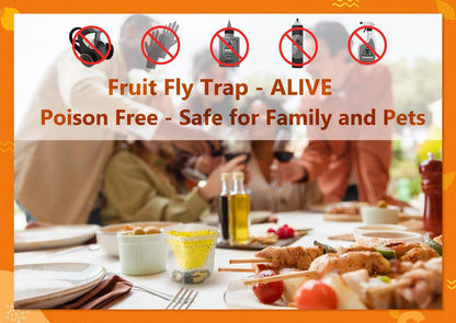 Reusable Fruit Fly Trap by Skiennix - Non-Toxic & Safe for Kids and Pets | Easy Kitchen Control - 6 Pack