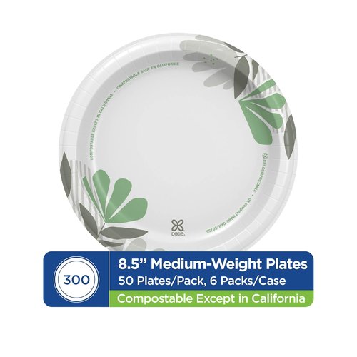 Dixie 8.5-Inch Medium-Weight Disposable Paper Plates - Pathways Design | 300 Count Bulk Case